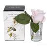 96CN-R46 Диффуз.Rose Bud French Pink,спрей White Gardenia 5мл уп в Ярославле