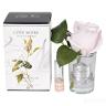 96CN-R46 Диффуз.Rose Bud French Pink,спрей White Gardenia 5мл уп в Ярославле